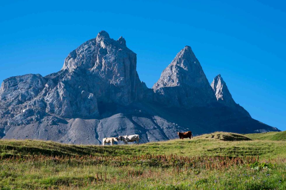 Les Aiguilles d'Arves