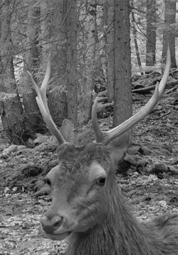 Les Aiguilles d'Arves